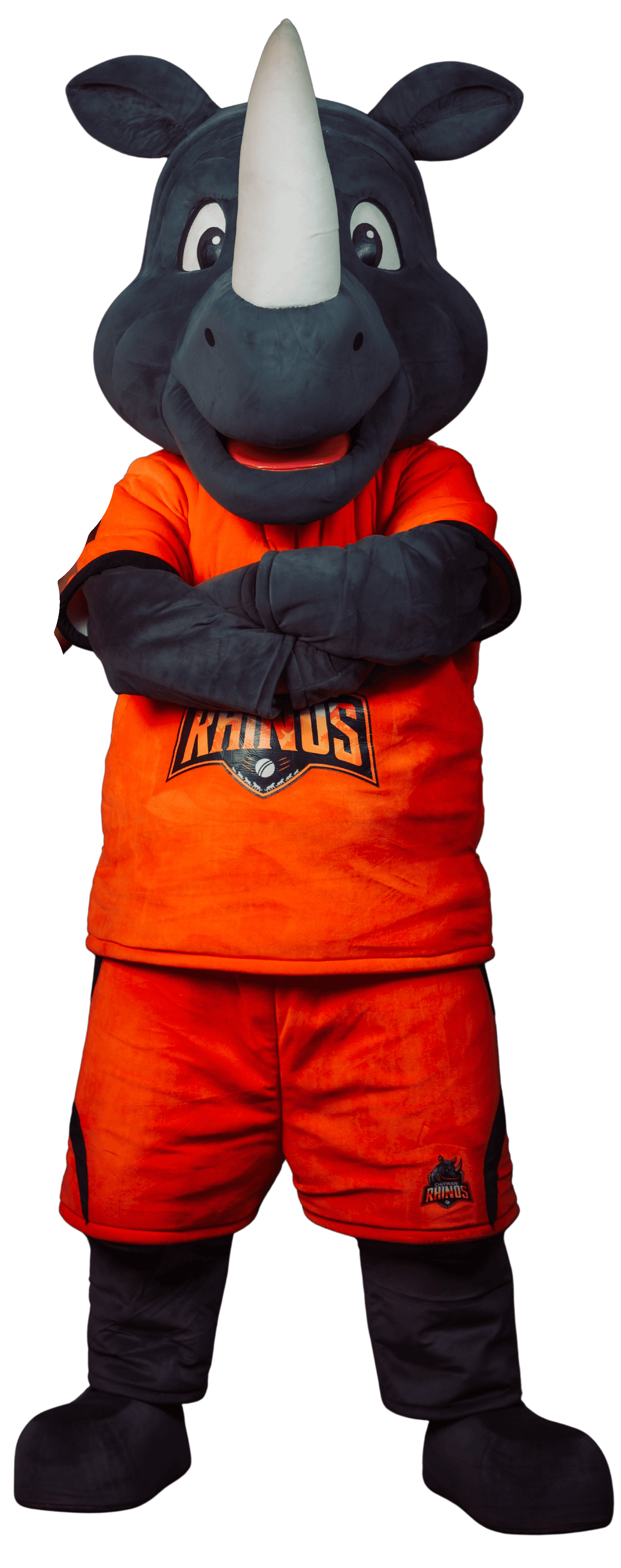 Footer Rhino Texture